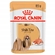 Ração Úmida Royal Canin Sachê Para Cães Adultos Da Raça Shih Tzu 85g (MP)