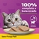 Ração Úmida Patê Whiskas Gato Adulto Lata Frango 290g (MP)