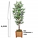 Planta Artificial Grillo Bambu 210cm Verde (MP)