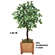 Planta Artificial Grillo Ficus X2 162cm Verde (MP)