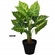 Planta Artificial Grillo Taro Folhas Real Toque X10 45cm (MP)