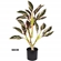 Planta Artificial Grillo Aralia Folhas X20 Toque Real 66cm (MP)