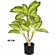 Planta Artificial Grillo Difenbachia Folhas X20 Toque Real 66cm (MP)