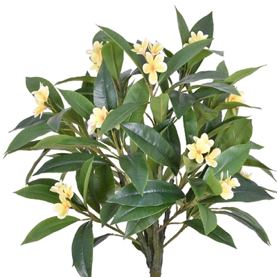 Planta Artificial Grillo Frangipania Plumeria Toque Real Creme 145cm (MP)