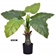 Planta Artificial Grillo Philo X7 Real Toque 65cm Verde (MP)