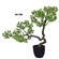 Planta Artificial Grillo Bonsai X2 62cm Verde (MP)