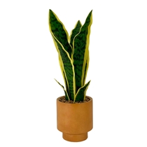 Planta Artificial Noritex 415-71631