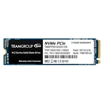 SSD Interno TeamGroup M.2 Nvme 256GB MP33 TM8FP6256G0C101 (MP)