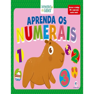 Livro Aprenda Os Numerais (MP)