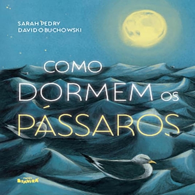 Livro Como Dormem Os Passaros (MP)