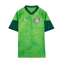 Camisa Palmeiras Puma Treino E Viagem Verde P (MP)