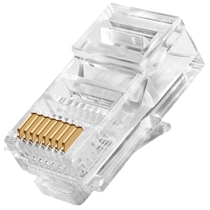 Conector RL45 CAT6 Macho (MP)