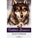 Livro Caninos Brancos (MP)