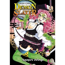 Livro Demon Slayer - Vol 14 - Mangá (MP)