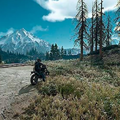 Jogos ps4 days gone