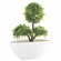 Vaso com Planta Artificial para Ornamentação Latcor BX-46448/Y24-01 Verde e Branco