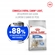 Ração Royal Canin Para Cães Adultos Da Raça Mini Light 2,5kg (MP)