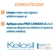 Kelosil Gel de Silicone 15g Legrand