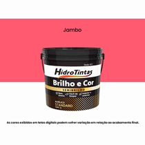Tinta Acrílica Hidrotintas Standard Semibrilho 3L Brilho e Cor Jambo (MP)