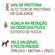 Ração Balance Premium Especial Cães Adulto Raças Pequenas Carne 900g (MP)