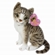 Pelúcia Sunn Toys Gato Birnames 24CM (MP)