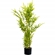 Vaso Com Planta Artificial Bambu Mossô Latcor BX-CZP1785I
