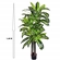 Planta Artificial Grillo Dracena X3 148cm Verde (MP)