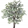 Planta Artificial Grillo Ficus X2 162cm Verde Branco (MP)