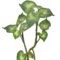 Planta Artificial Grillo Caladium Folhas X12 Real Toque 75cm (MP)