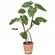 Planta Artificial Grillo Folhas X12 Real Toque Philodendro 75cm (MP)