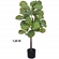 Planta Artificial Grillo Ficus Lirata X47 Real Toque 120cm Verde (MP)