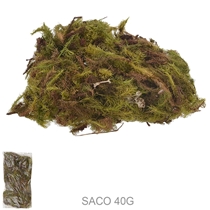 Musgo Natural Florarte Saco 40g Verde (MP)